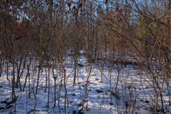 Sleepy Hollow Phase I Tract 42