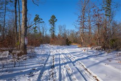 Sleepy Hollow Phase I Tract 43