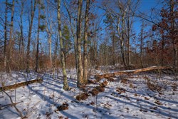 Sleepy Hollow Phase I Tract 43