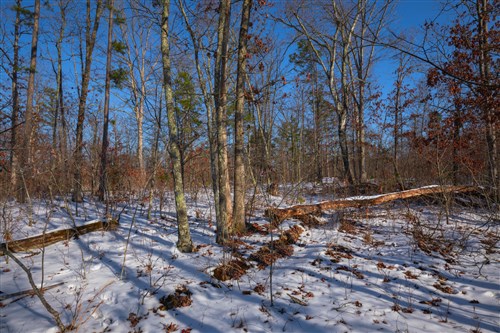 Sleepy Hollow Phase I Tract 43