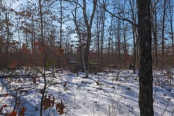 Sleepy Hollow Phase I Tract 43