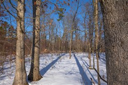 property photo for Sleepy Hollow Phase I Tract 44, 5.27 acres for sale in Texas County, Missouri