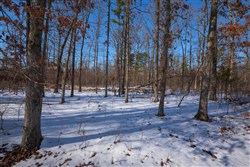property photo for Sleepy Hollow Phase I Tract 44, 5.27 acres for sale in Texas County, Missouri