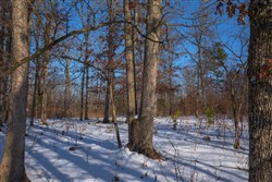 property photo for Sleepy Hollow Phase I Tract 44, 5.27 acres for sale in Texas County, Missouri
