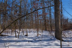 property photo for Sleepy Hollow Phase I Tract 44, 5.27 acres for sale in Texas County, Missouri