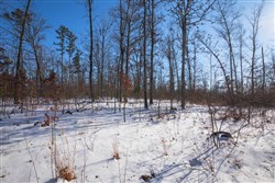 property photo for Sleepy Hollow Phase I Tract 44, 5.27 acres for sale in Texas County, Missouri