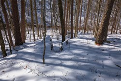 Sleepy Hollow Phase I Tract 45