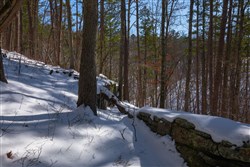 Sleepy Hollow Phase I Tract 45