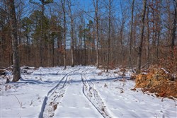 Sleepy Hollow Phase I Tract 46