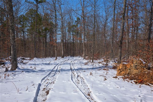 Sleepy Hollow Phase I Tract 46