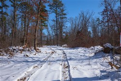 Sleepy Hollow Phase I Tract 46