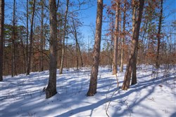 Sleepy Hollow Phase I Tract 46