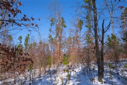 Sleepy Hollow Phase I Tract 46