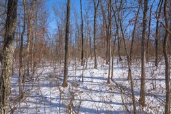 Sleepy Hollow Phase I Tract 47