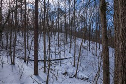 Sleepy Hollow Phase I Tract 47