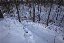 Sleepy Hollow Phase I Tract 47