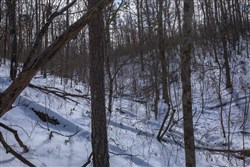 Sleepy Hollow Phase I Tract 47