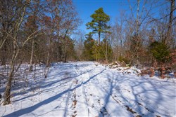 property photo for Sleepy Hollow Phase I Tract 48, 11.96 acres for sale in Texas County, Missouri