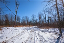 property photo for Sleepy Hollow Phase I Tract 48, 11.96 acres for sale in Texas County, Missouri