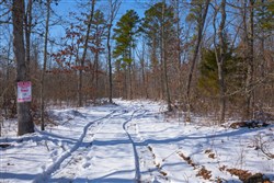 property photo for Sleepy Hollow Phase I Tract 48, 11.96 acres for sale in Texas County, Missouri
