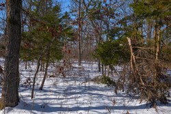 property photo for Sleepy Hollow Phase I Tract 48, 11.96 acres for sale in Texas County, Missouri