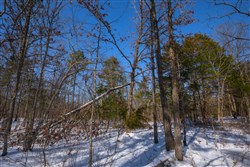 property photo for Sleepy Hollow Phase I Tract 48, 11.96 acres for sale in Texas County, Missouri