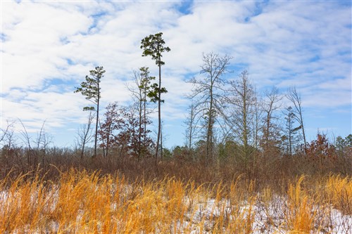 Sleepy Hollow Phase I Tract 5