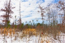 Sleepy Hollow Phase I Tract 5