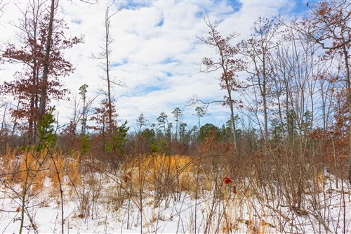 Sleepy Hollow Phase I Tract 5