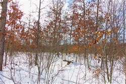 Sleepy Hollow Phase I Tract 5