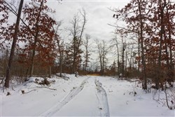 Sleepy Hollow Phase I Tract 5