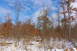 Sleepy Hollow Phase I Tract 5