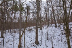 property photo for Sleepy Hollow Phase I Tract 51, 12.02 acres for sale in Texas County, Missouri