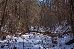 property photo for Sleepy Hollow Phase I Tract 51, 12.02 acres for sale in Texas County, Missouri