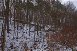 property photo for Sleepy Hollow Phase I Tract 51, 12.02 acres for sale in Texas County, Missouri