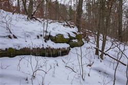 property photo for Sleepy Hollow Phase I Tract 51, 12.02 acres for sale in Texas County, Missouri