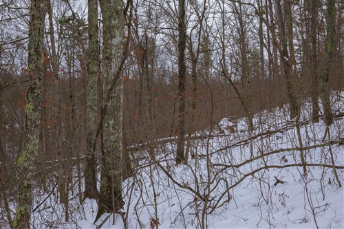 Sleepy Hollow Phase I Tract 52