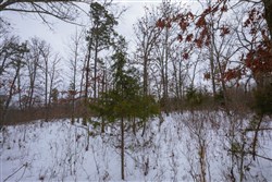 Sleepy Hollow Phase I Tract 52