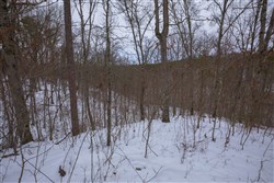 Sleepy Hollow Phase I Tract 52