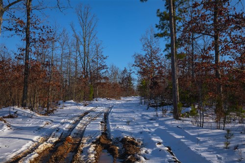 Sleepy Hollow Phase I Tract 54