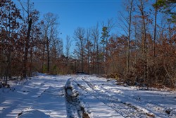 Sleepy Hollow Phase I Tract 54