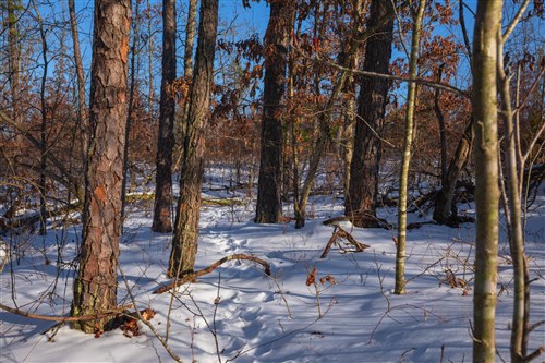 Sleepy Hollow Phase I Tract 54