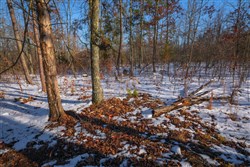 Sleepy Hollow Phase I Tract 54