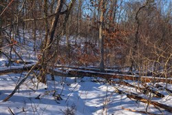 Sleepy Hollow Phase I Tract 54