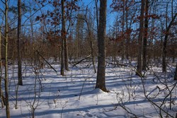 Sleepy Hollow Phase I Tract 54