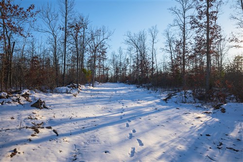 Sleepy Hollow Phase I Tract 55