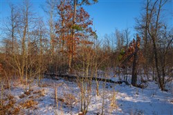 Sleepy Hollow Phase I Tract 55