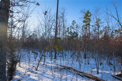 Sleepy Hollow Phase I Tract 55