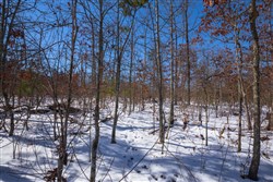 property photo for Sleepy Hollow Phase I Tract 56, 7.77 acres for sale in Texas County, Missouri