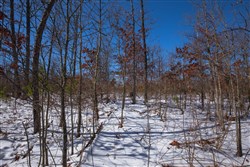 property photo for Sleepy Hollow Phase I Tract 56, 7.77 acres for sale in Texas County, Missouri